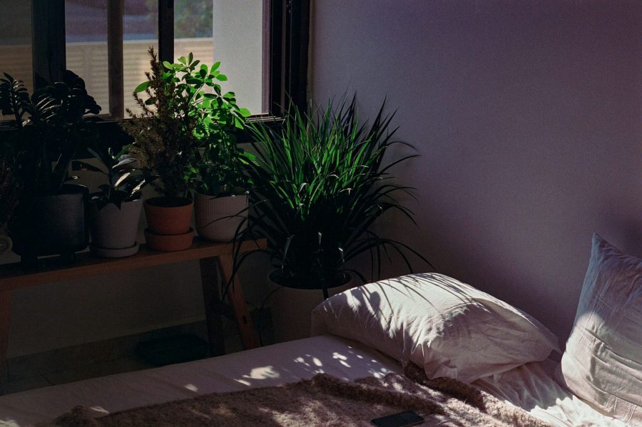 Bring a touch of nature into your bedroom with Materasso mattresses
