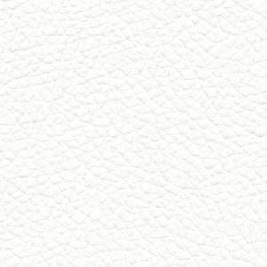 Goatskin gatto 10 white