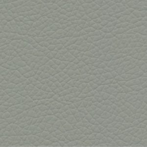 Shrimp gatto 13 light grey