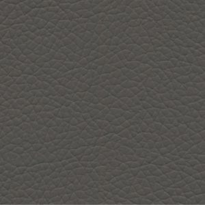 Shrimp gatto 14 grey zinc