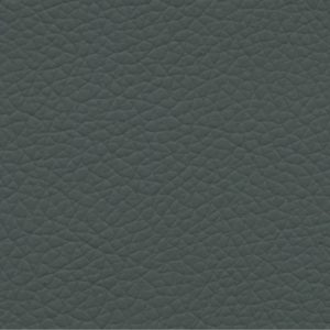 Shrimp gatto 15 grey ash