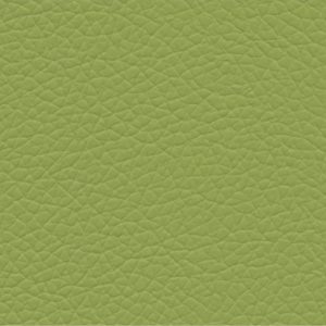 Goatskin gatto 19 lime green