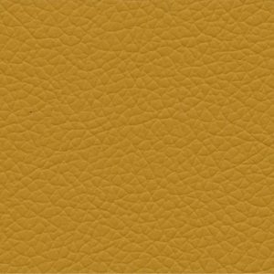 Cossette gatto 20 gold