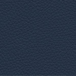 Goatskin gatto 21 blue steel