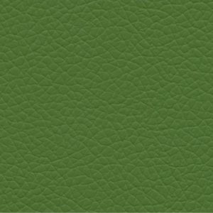 Shrimp gatto 22 green