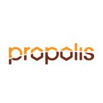 Foam Propolis