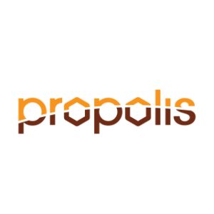 Foam Propolis